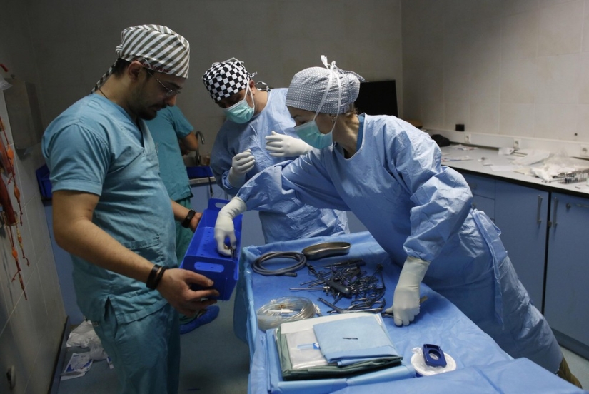 How race horses are treated in Istanbul