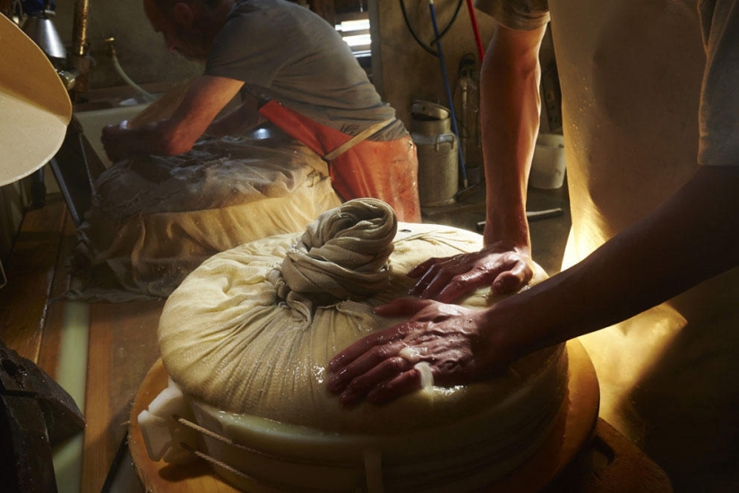 How Swiss cheese is made