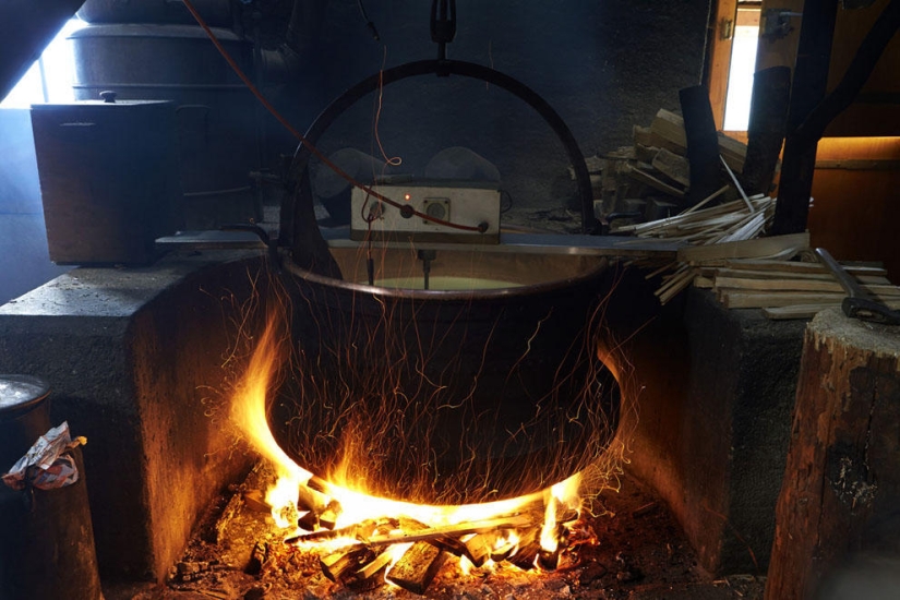 How Swiss cheese is made