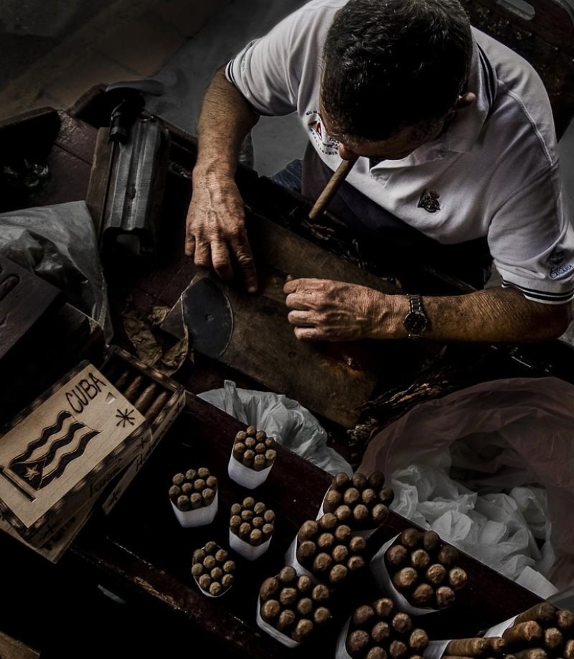 How the best Cuban cigars are made
