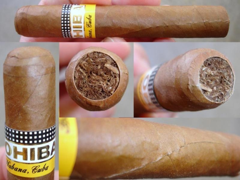 How the best Cuban cigars are made