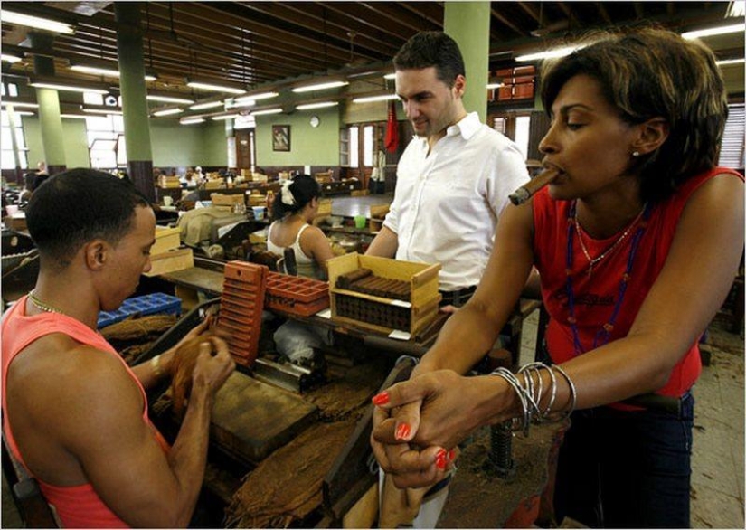 How the best Cuban cigars are made