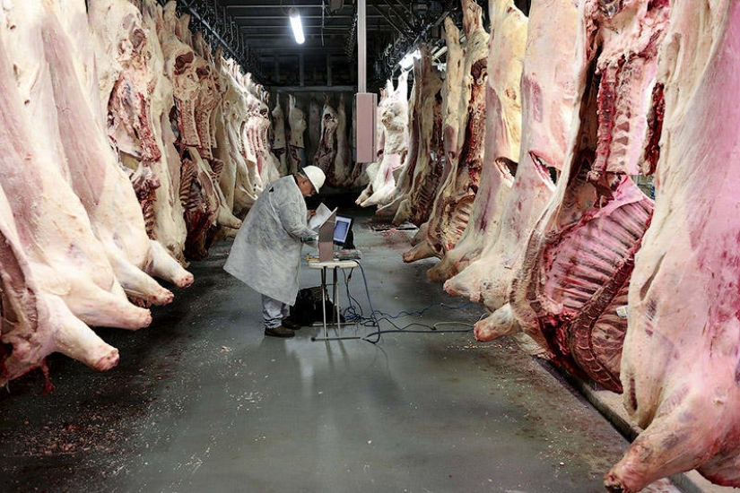 How the meat we eat is made