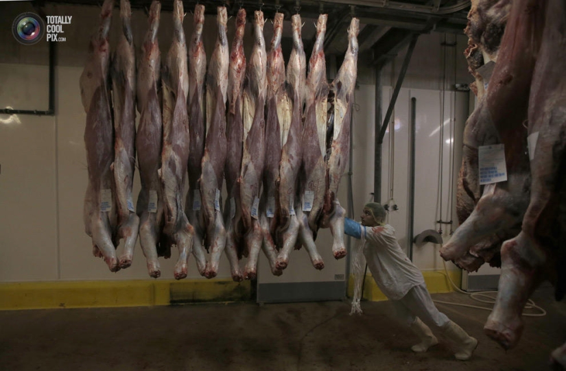 How the meat we eat is made