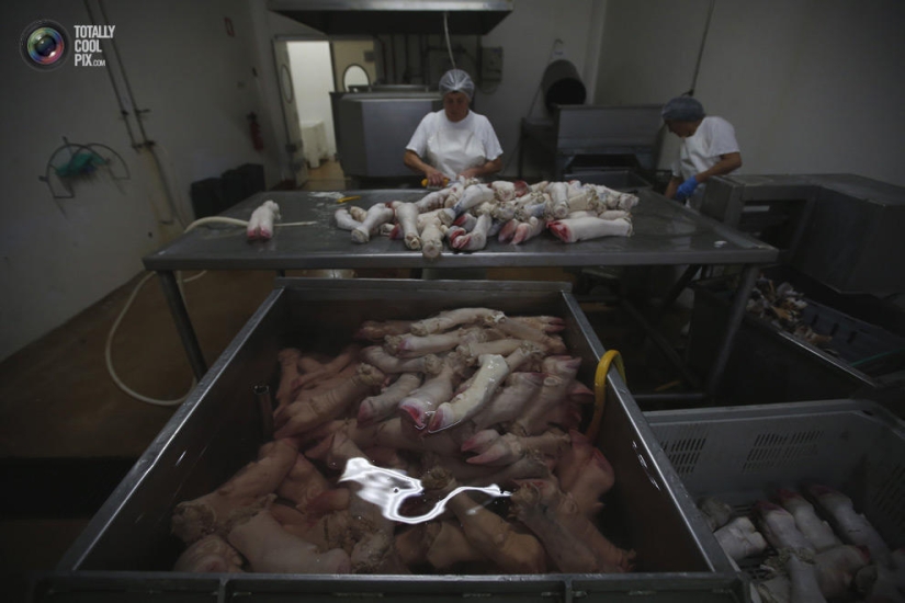 How the meat we eat is made