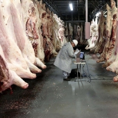 How the meat we eat is made How the meat we eat is made