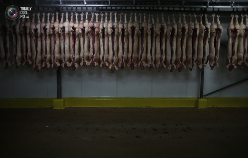 How the meat we eat is made