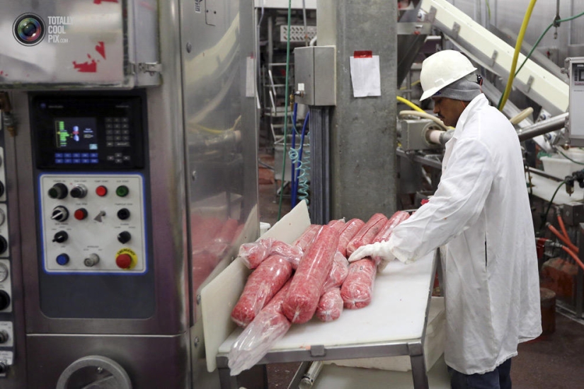 How the meat we eat is made