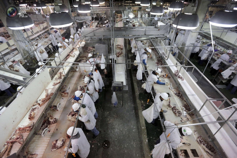 How the meat we eat is made
