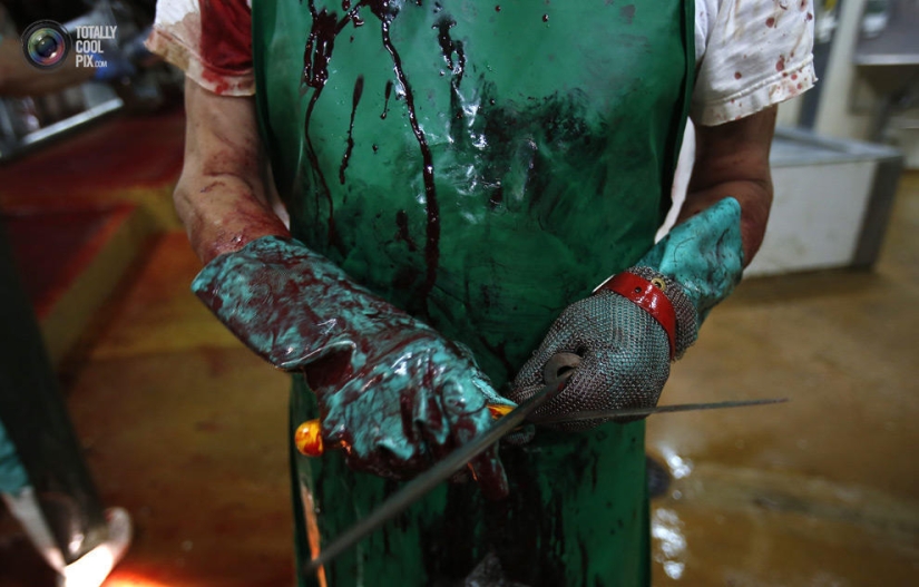 How the meat we eat is made