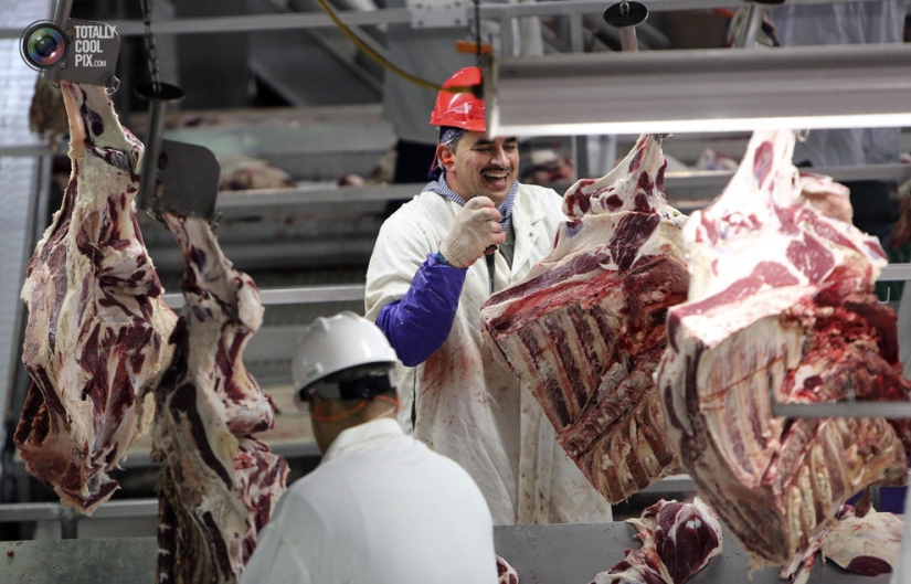 How the meat we eat is made