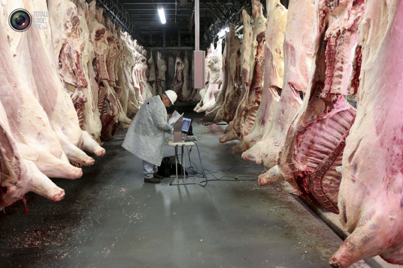How the meat we eat is made