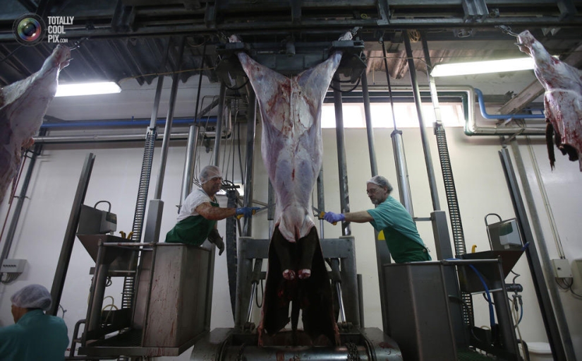 How the meat we eat is made
