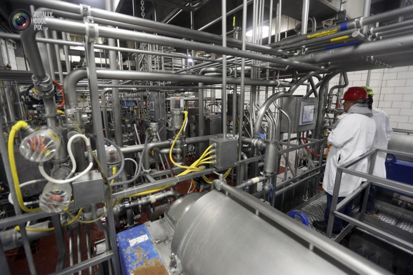 How the meat we eat is made