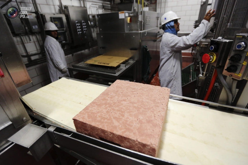 How the meat we eat is made