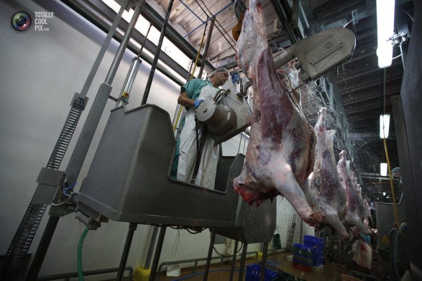 How the meat we eat is made
