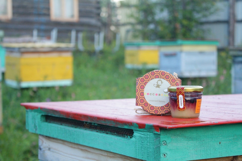 How to combine the Internet and the village and at the same time make grandmothers happy in two clicks How to combine the Internet and the village and at the same time make grandmothers happy in two clicks