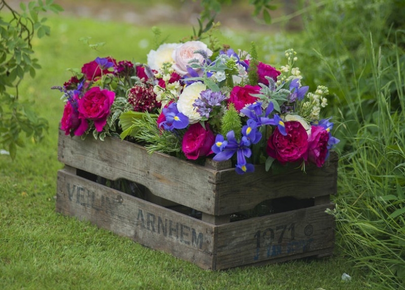 How to create a beautiful, unusual flower bed from improvised materials: 20 examples