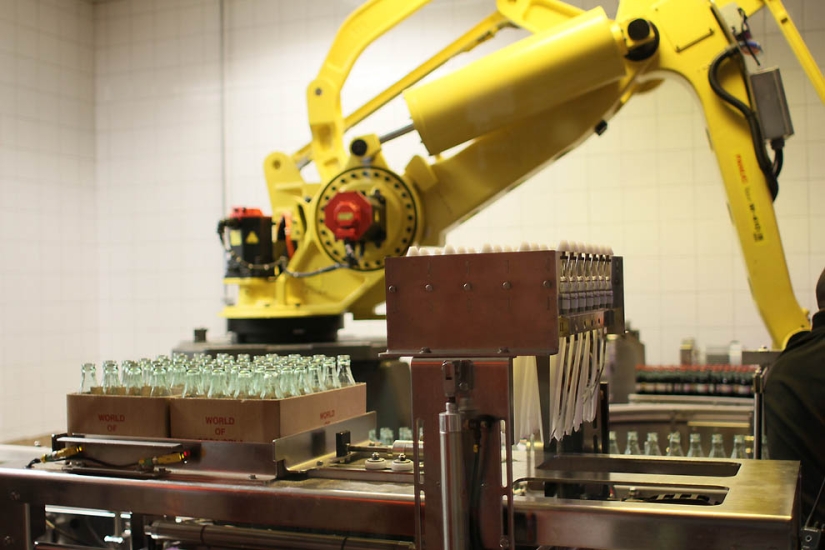 How to learn everything about the most popular drink in the world: a journey into the world of Coca-Cola