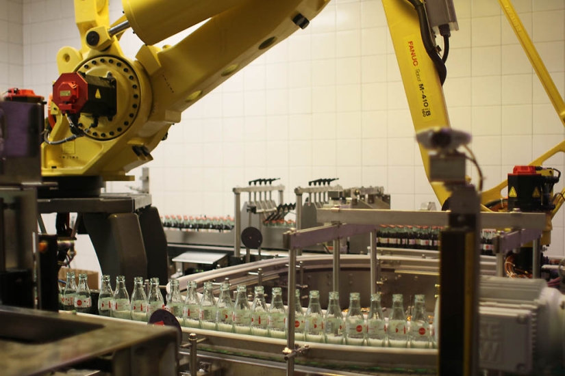 How to learn everything about the most popular drink in the world: a journey into the world of Coca-Cola