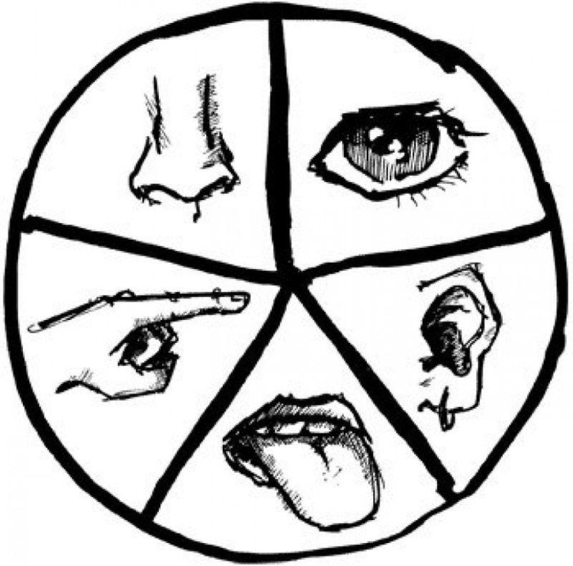 How to maintain mental clarity for a long time: 10 simple tips