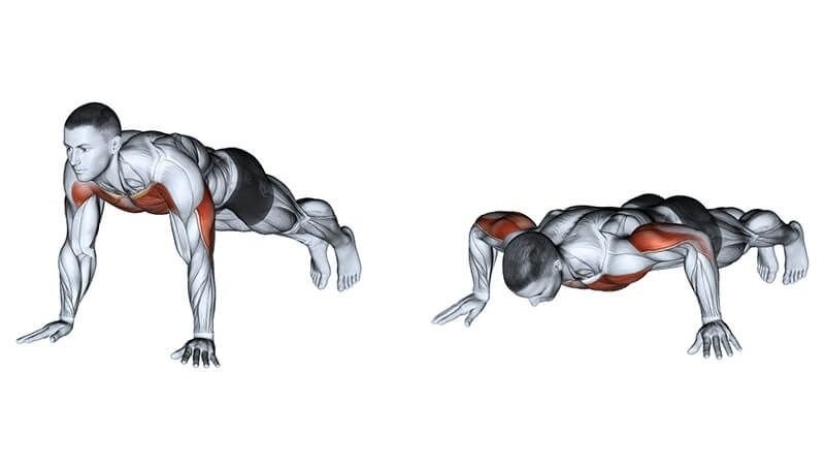 How to make the back much wider to hide the stomach and sides?