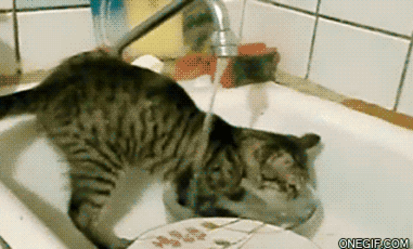 How to save time by washing dishes faster and better How to save time by washing dishes faster and better