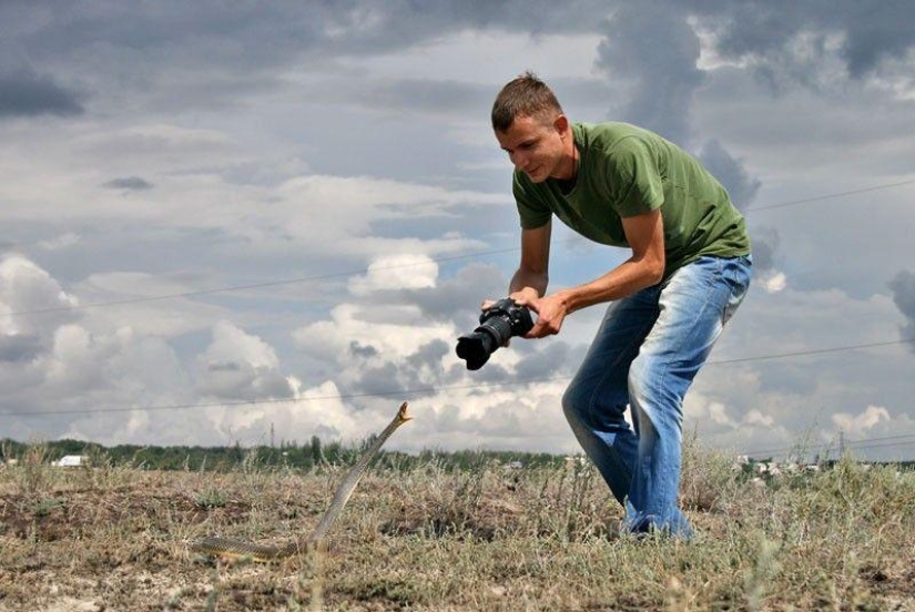 How to take pictures of snakes