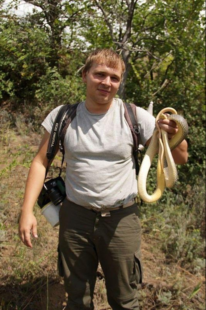 How to take pictures of snakes