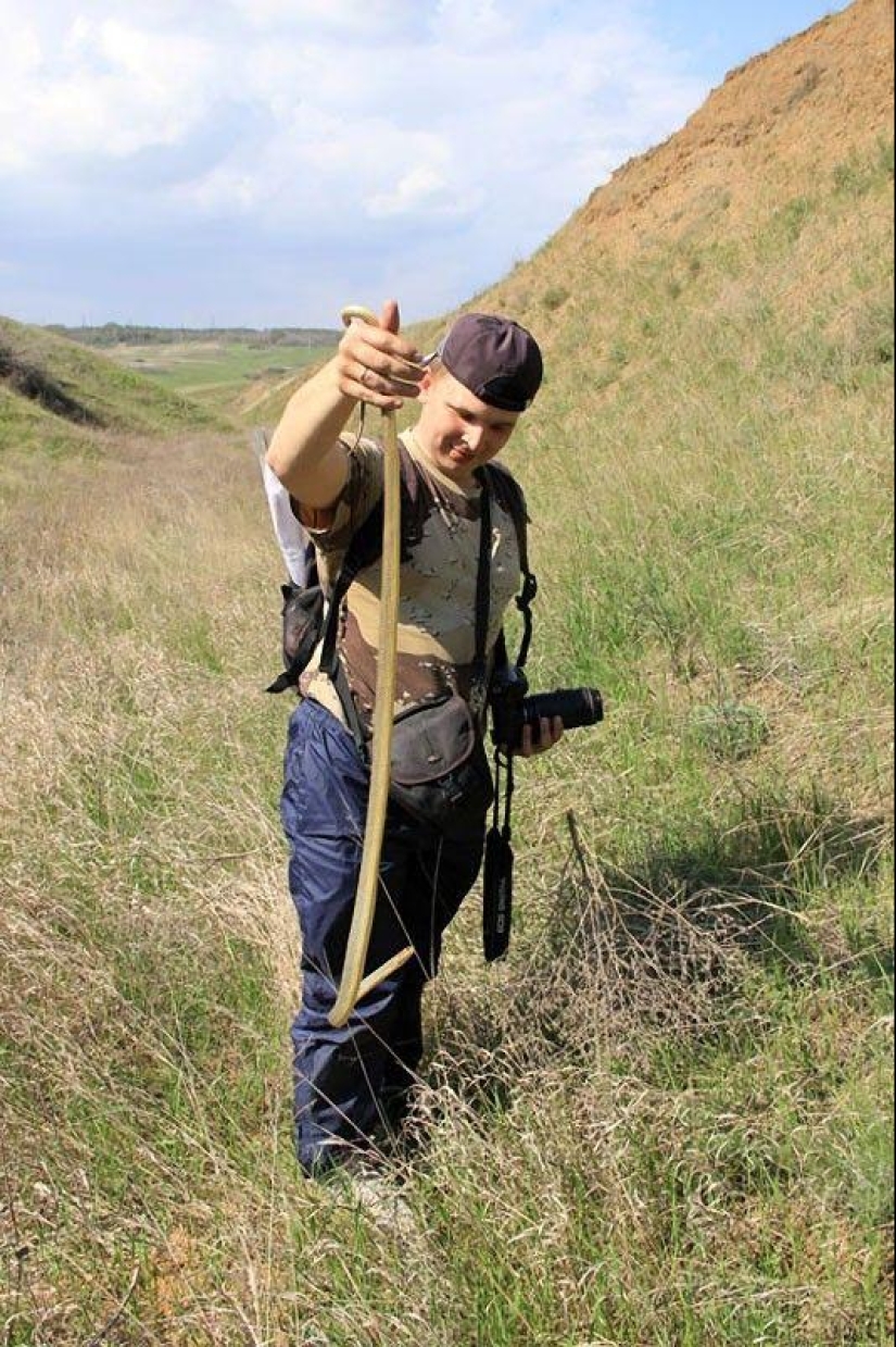 How to take pictures of snakes