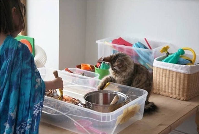 How Tula the cat helps a girl with autism