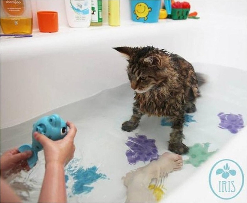 How Tula the cat helps a girl with autism