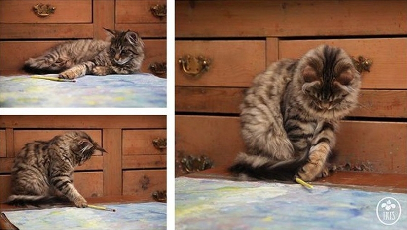 How Tula the cat helps a girl with autism