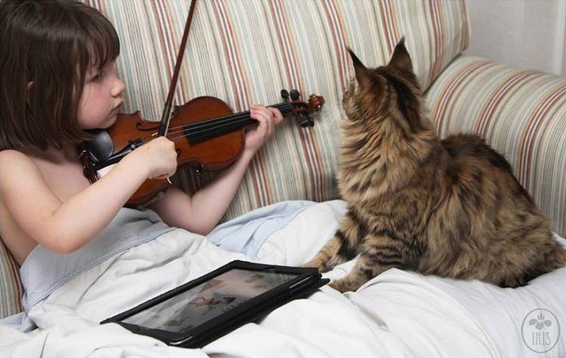 How Tula the cat helps a girl with autism