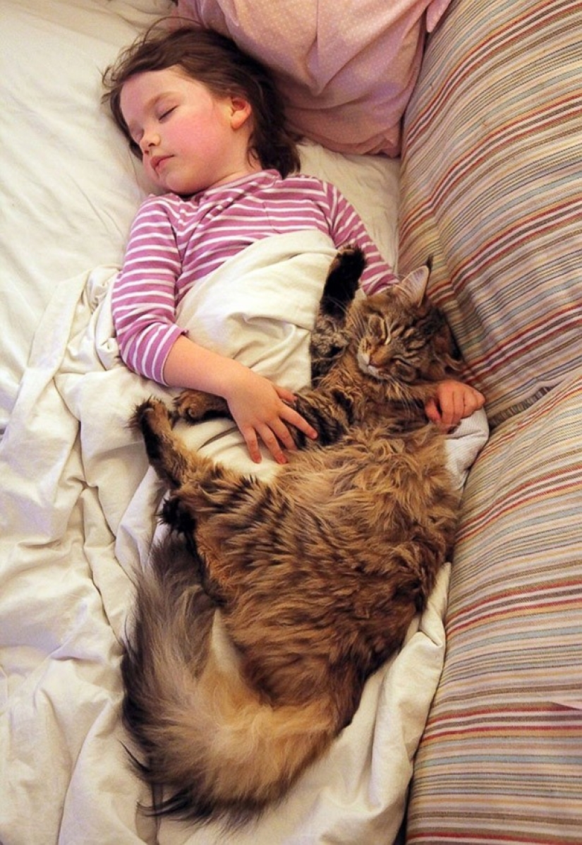 How Tula the cat helps a girl with autism