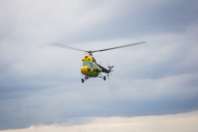 How we celebrated Tanker's Day at the Wargaming office How we celebrated Tanker's Day at the Wargaming office