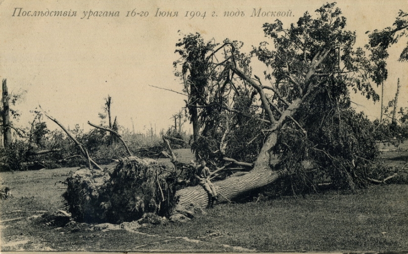 Hurricane of 1904 — the deadliest in Moscow in 100 years Hurricane of 1904 — the deadliest in Moscow in 100 years
