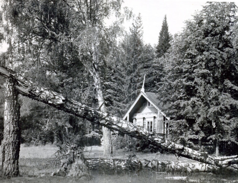 Hurricane of 1904 — the deadliest in Moscow in 100 years Hurricane of 1904 — the deadliest in Moscow in 100 years