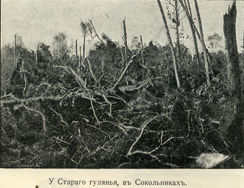 Hurricane of 1904 — the deadliest in Moscow in 100 years Hurricane of 1904 — the deadliest in Moscow in 100 years