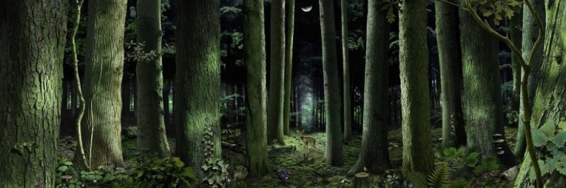 Hypnotizing Digital Children by Ruud Van Empel Hypnotizing Digital Children by Ruud Van Empel