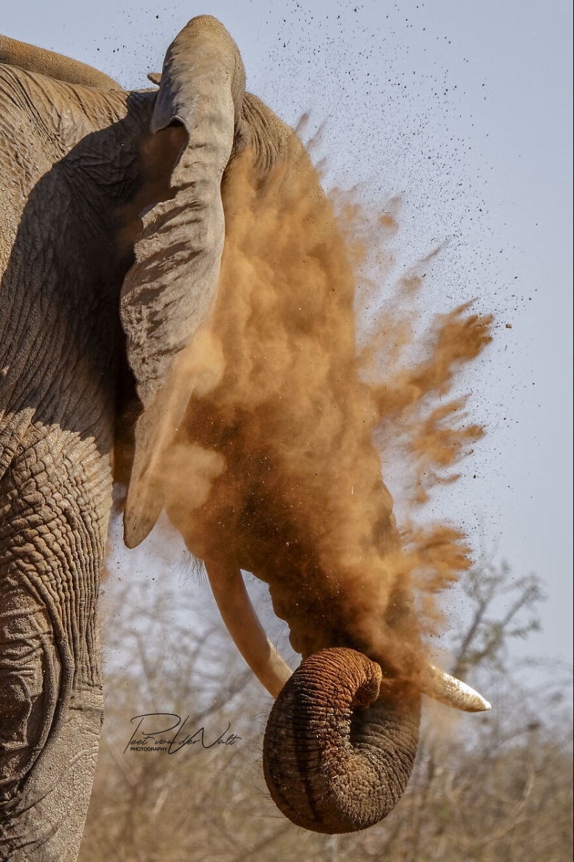 I Am A Photographer Passionate About Wildlife, Nature, And Conservation: Here Are My Best 8 Photos (Part2)