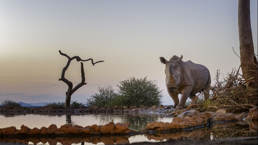 I Am A Photographer Passionate About Wildlife, Nature, And Conservation: Here Are My Best 8 Photos (Part2)