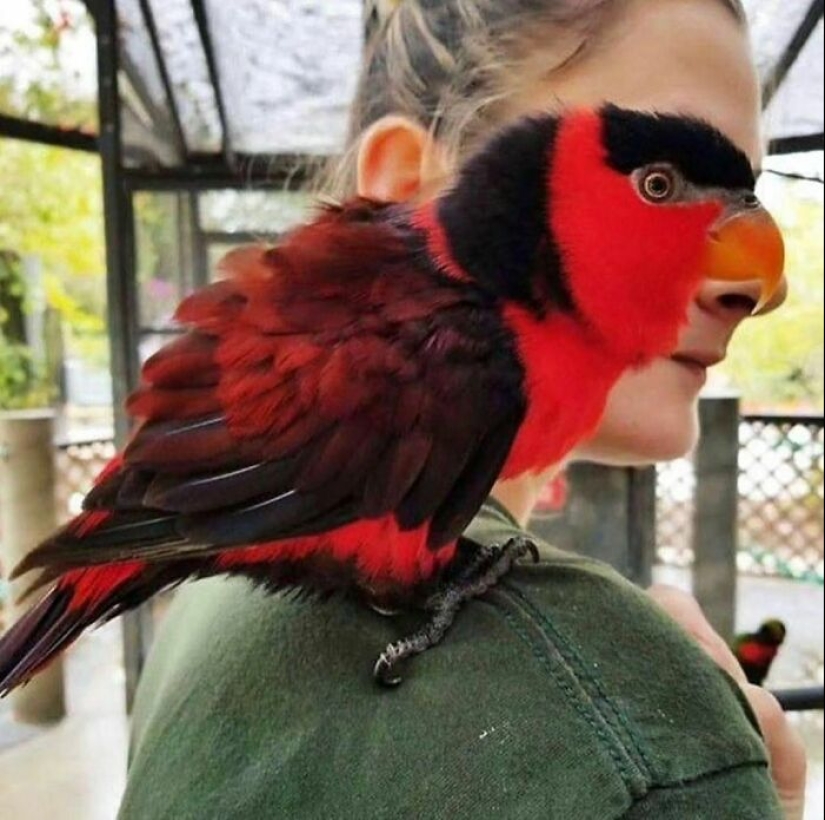 “I Am Cringe, But I Am Free”: 80 Hilarious Yet Confusing Images “I Am Cringe, But I Am Free”: 80 Hilarious Yet Confusing Images