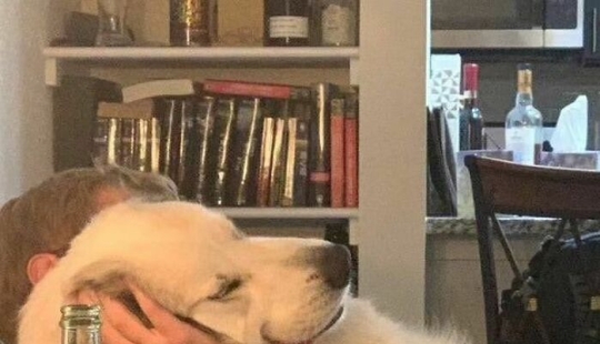 “I Am Cringe, But I Am Free”: 80 Hilarious Yet Confusing Images