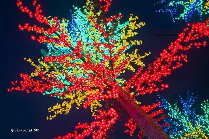 I-City: jardín luminoso en Malasia I-City: jardín luminoso en Malasia