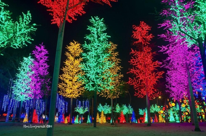 I-City: jardín luminoso en Malasia I-City: jardín luminoso en Malasia