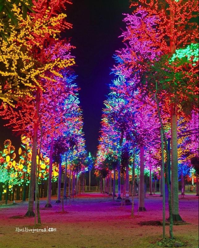 I-City: jardín luminoso en Malasia I-City: jardín luminoso en Malasia