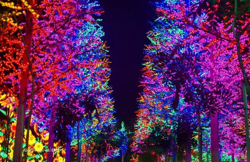 I-City: jardín luminoso en Malasia I-City: jardín luminoso en Malasia