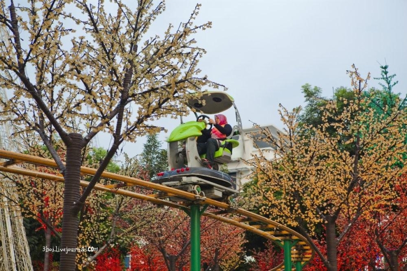 I-City: jardín luminoso en Malasia I-City: jardín luminoso en Malasia