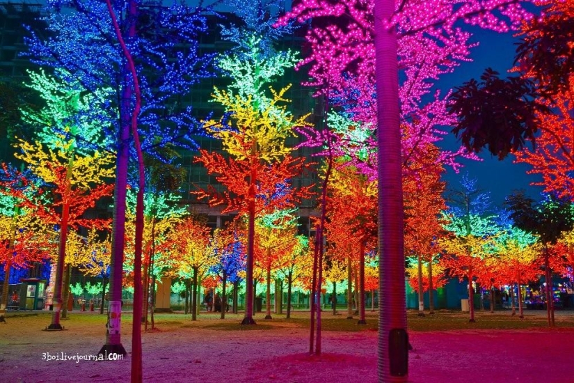 I-City: jardín luminoso en Malasia I-City: jardín luminoso en Malasia